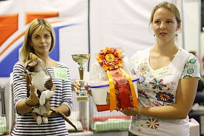   20-21  2014 WCF- 3-186-169A1147 copy.jpg
